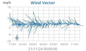 Wind Vector